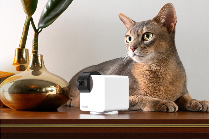 Immagine prodotto Petcube Cam 360