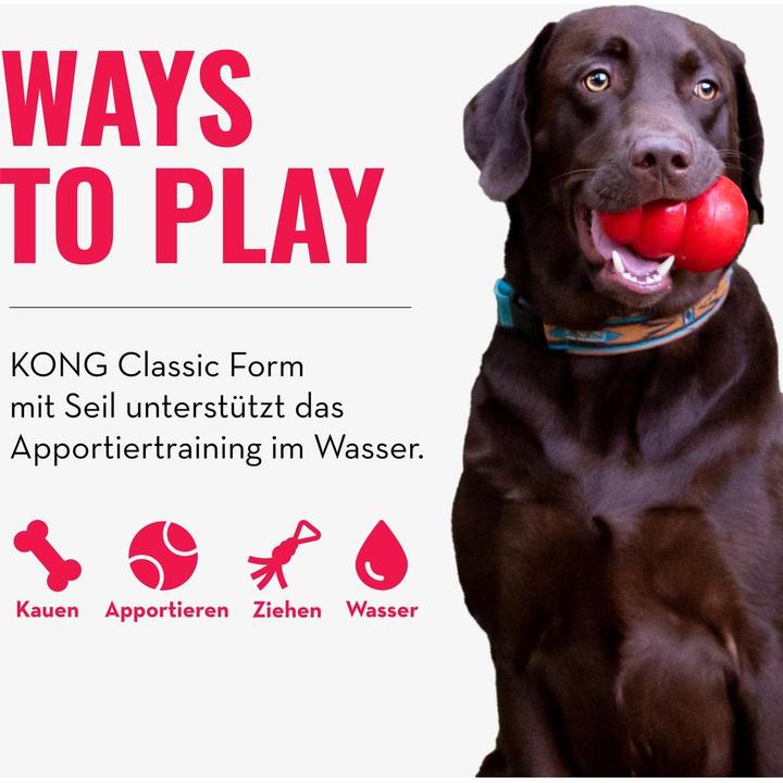 Immagine prodotto KONG Aqua (Reperimento)