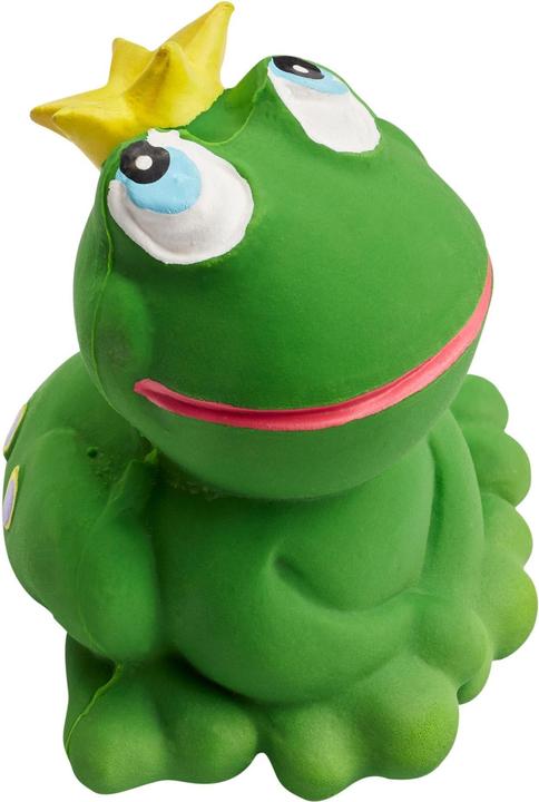 Image du produit pfister Rubber Duck