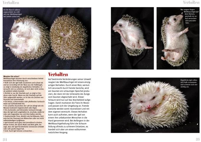 Immagine prodotto Weissbauchigel (Tedesco, Daniela Guist, 2014)