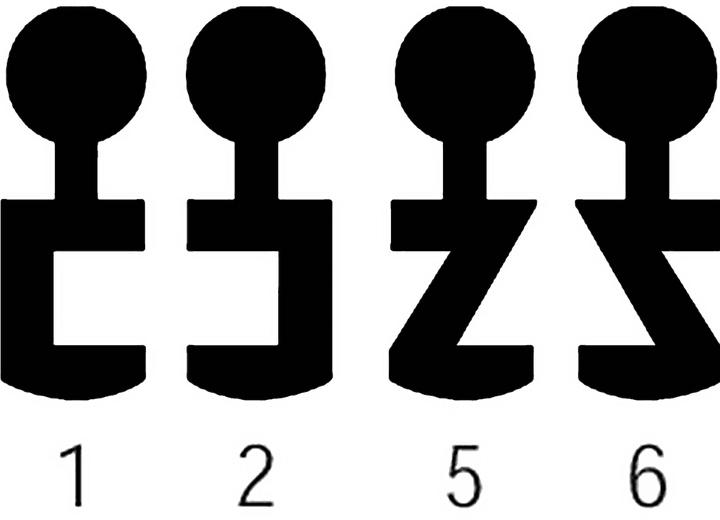 Actual product image Schänis Ring spanner 7355 No. 6