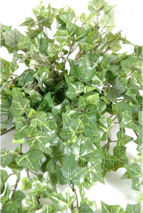 Produktbild Greendeco Künstliche Efeu Ranke, ca. 35cm (35 cm)