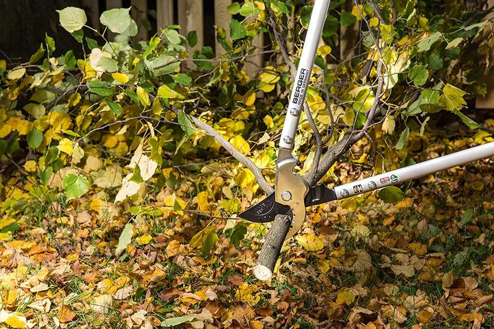 Actual product image BERGER Branch shears bypass 19 4280