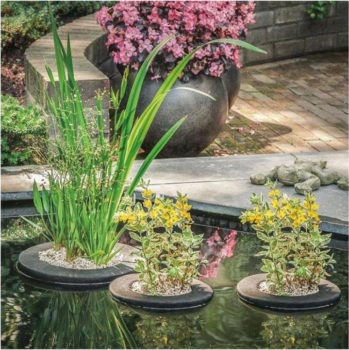 Image du produit Velda Îlot végétal non planté