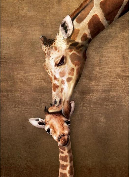 Actual product image Eurographics Giraffe muTerkuss (1000 pieces)