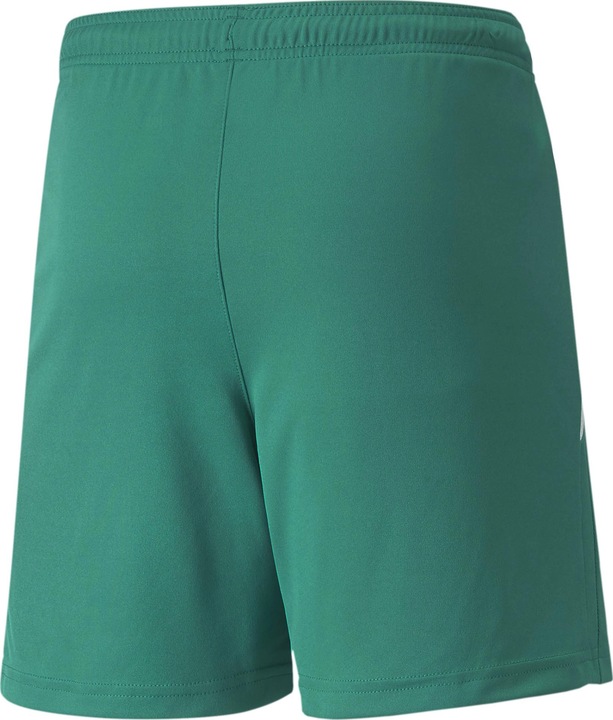 Actual product image Puma teamLIGA Shorts Jr-704931 (128)