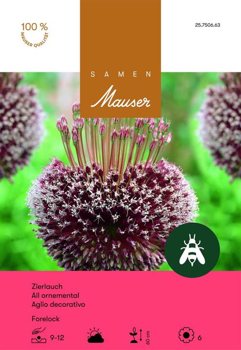 Produktbild Samen Mauser Allium Forelock Zierlauch (Blumensamen)