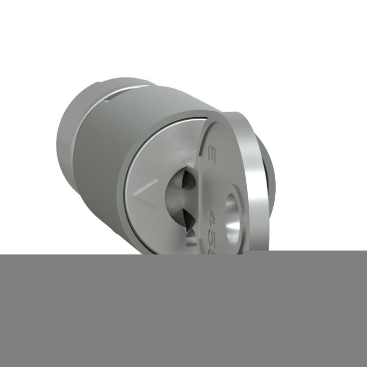 Actual product image Schneider PrismaSeT-P, cylinder lock, with 2 keys no. 3113A LVS07943 (Cylinder key)