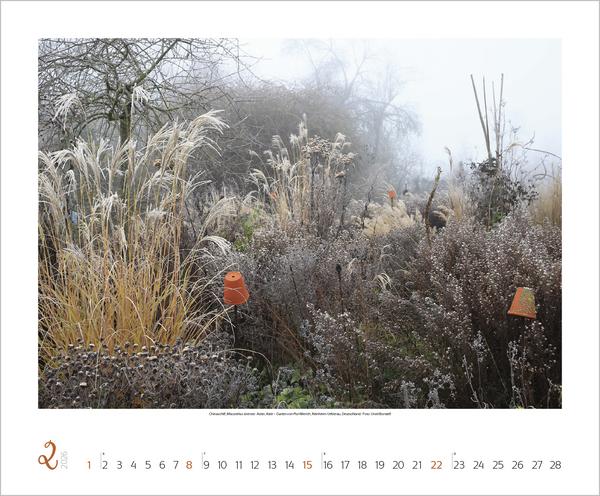 Actual product image Gartenträume 2026 (55 x 45.5 cm)