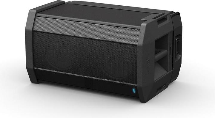 Actual product image Bose F1 Subwoofer (1 pcs., 1000 W)