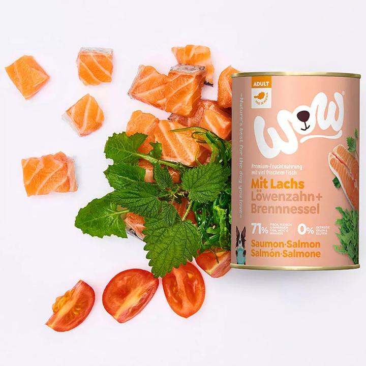 Image du produit WOW Adult, saumon avec tomate (Adulte, 1 pcs, 400 g)