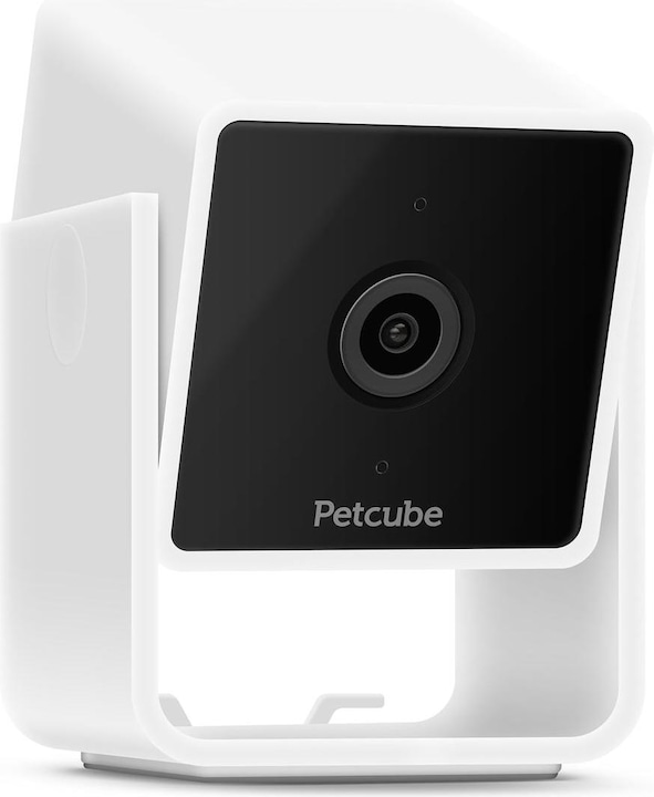 Immagine prodotto Petcube Telecamera per animali domestici (Catmint giocattolo)