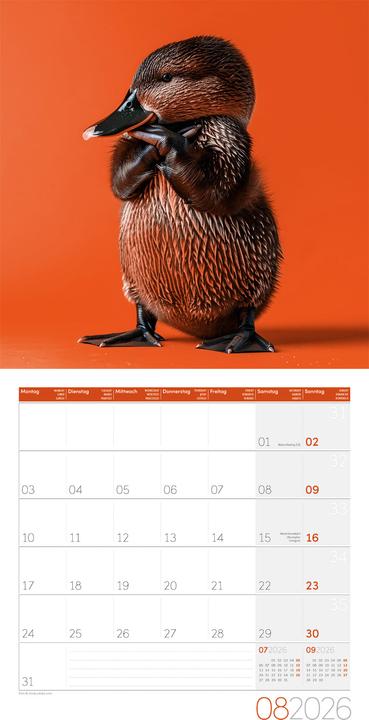 Produktbild Dancing Animals Kalender 2026