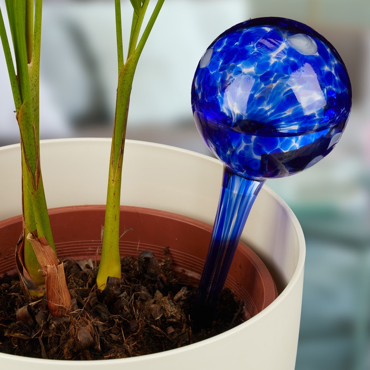 Actual product image Relaxdays Watering Globes, Set of 2 (Irrigation balls)