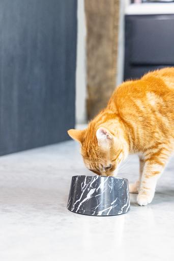 Produktbild Designed by Lotte Vita (16 cl)