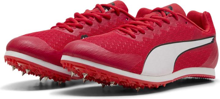 Puma Blanc, Puma Noir, Red