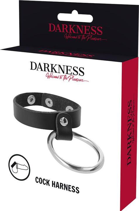 Actual product image Darkness Metal Ring For The Penis And Testicles