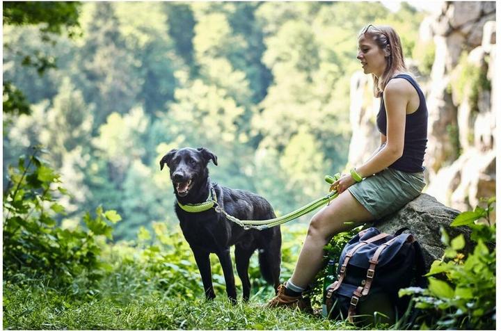 Actual product image Hunter Adjustable leash Hilo (M, Dog, Dog sport)