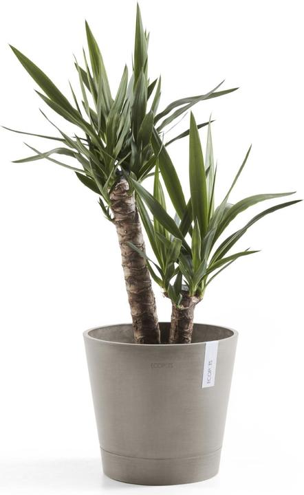 Actual product image Ecopots Venice (40 x 35 cm)
