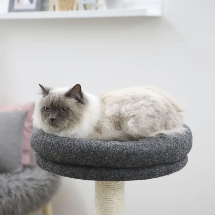 Immagine prodotto Kerbl Fridolin (106 cm, Grigio)