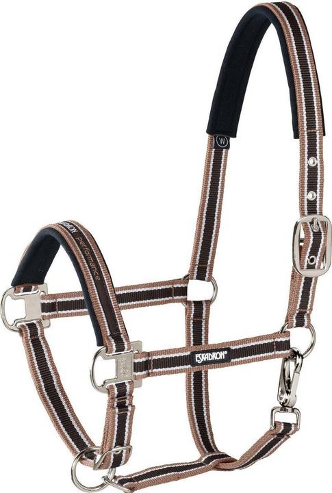 Eskadron Pin Buckle