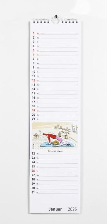 Produktbild Fiese Bilder Streifenkalender 2025: Monatskalender für die Wand