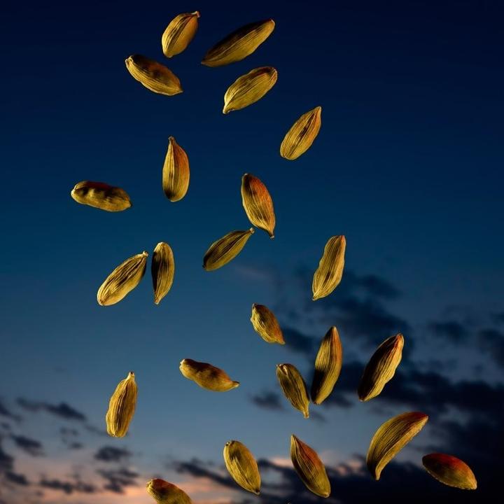 Image du produit Azzaro The Most Wanted (Eau de parfum, 60 ml)