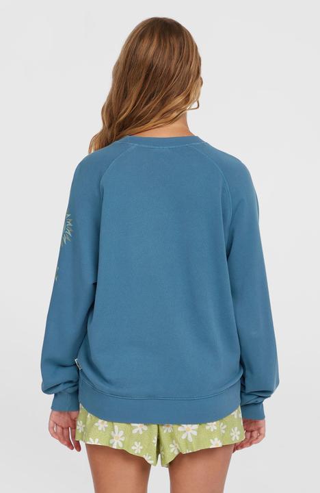 Produktbild O'Neill Beach Vintage Crew (M)