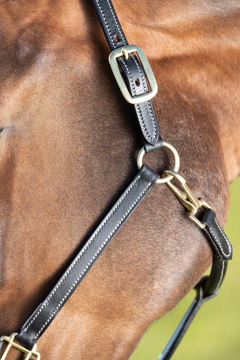 Immagine prodotto HFI Master Cavezza in cuoio per cavalli