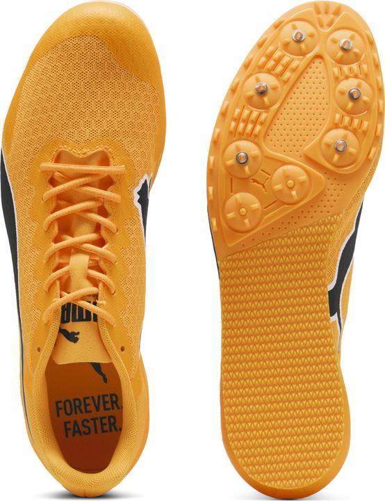 Produktbild Puma evoSPEED Star 9 (39)