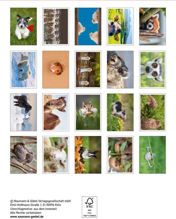 Produktbild Postkartenblock Lustige Tiere