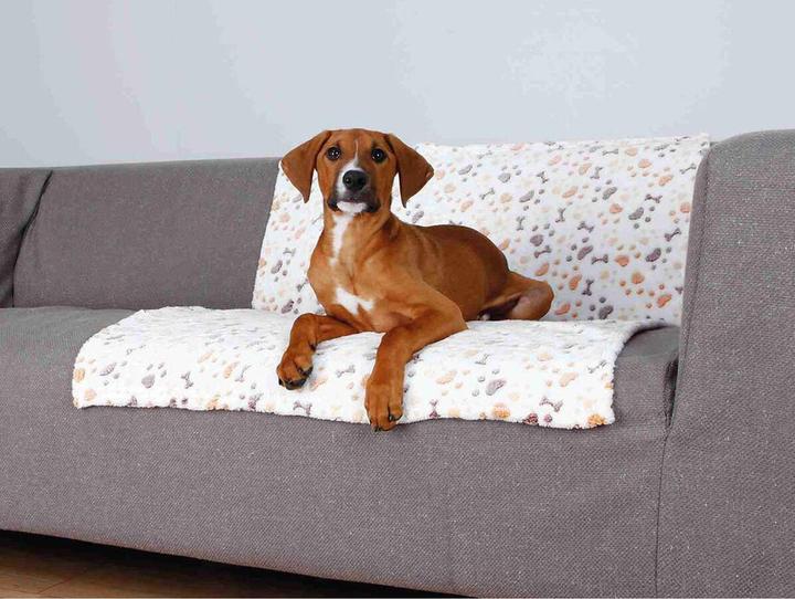 Actual product image Trixie Lingo (Dog)