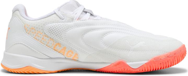 Immagine prodotto Puma Ibero V Indoor (41)
