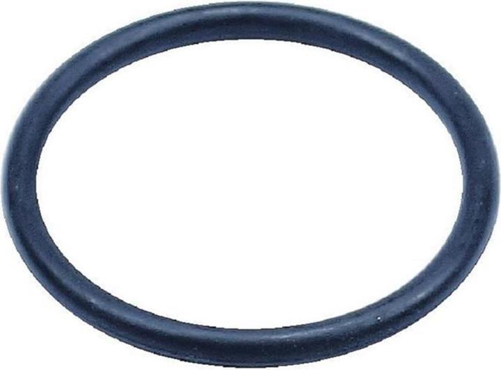 Gardena O-ring Valve box (O-Ring, 25.40 mm)