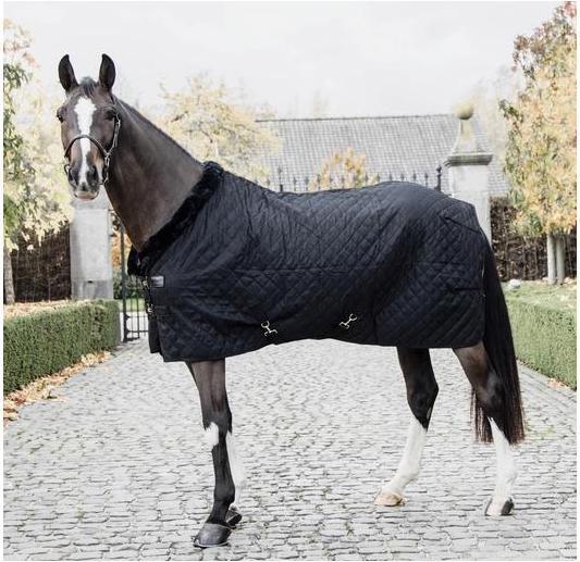Produktbild Kentucky Horsewear Stalldecke 0g (145 cm)