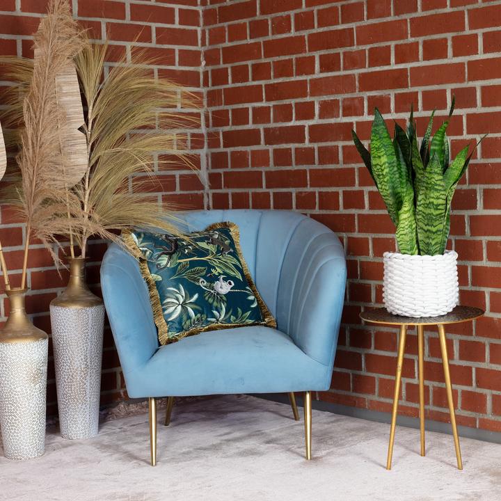 Immagine prodotto Flowerbox Canapa dell'arco - Sansevieria zeylanica (65 cm)