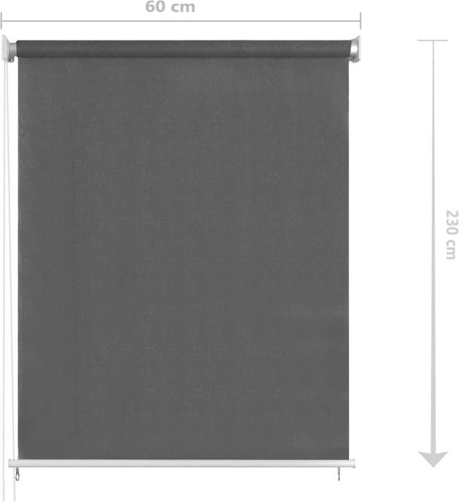 Image du produit vidaXL Store roulant (60 x 230 cm)