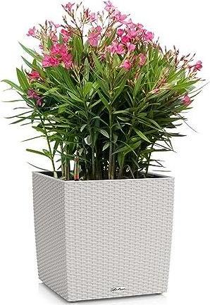 Immagine prodotto Lechuza Cubo di fiori Cottage 50 (50 x 50 x 49.50 cm)