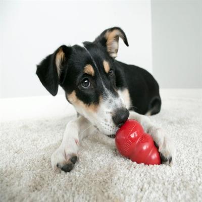 Immagine prodotto KONG Classico (Reperimento, Giocattolo per cani, Gioco da masticare per cani)