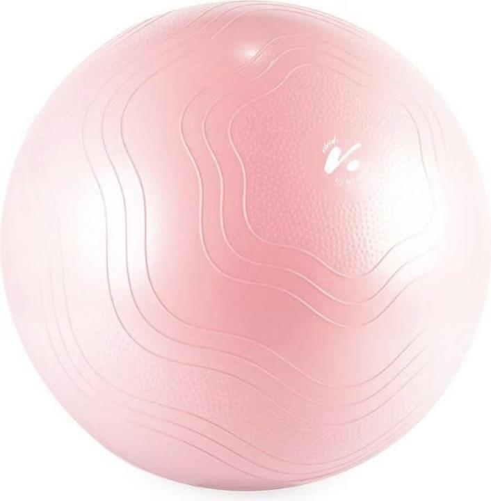 Gymstick Vivid Fitness Ball (65 cm)
