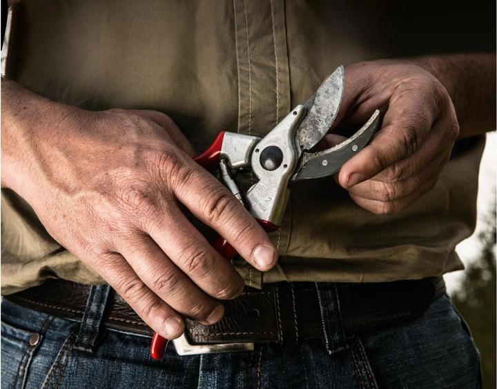 Produktbild Felco 2 + 500