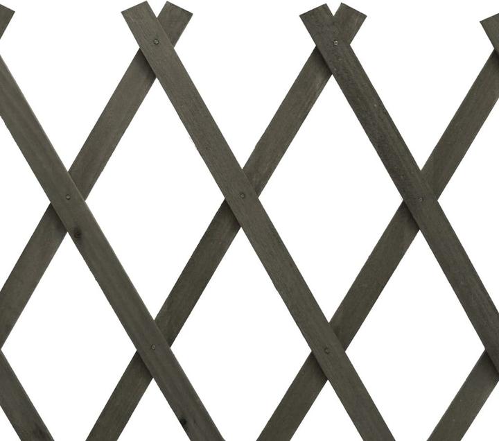 Produktbild vidaXL Rankgitter