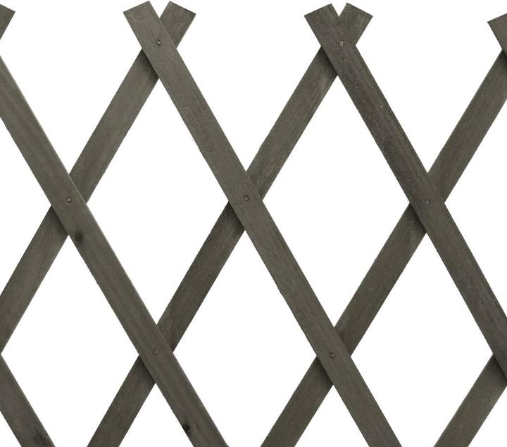 Produktbild vidaXL Rankgitter