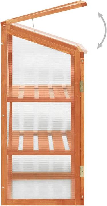 Actual product image vidaXL Gewächshaus