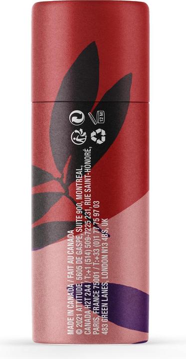 Actual product image Attitude Lip Balm Watermelon (Lip balm)