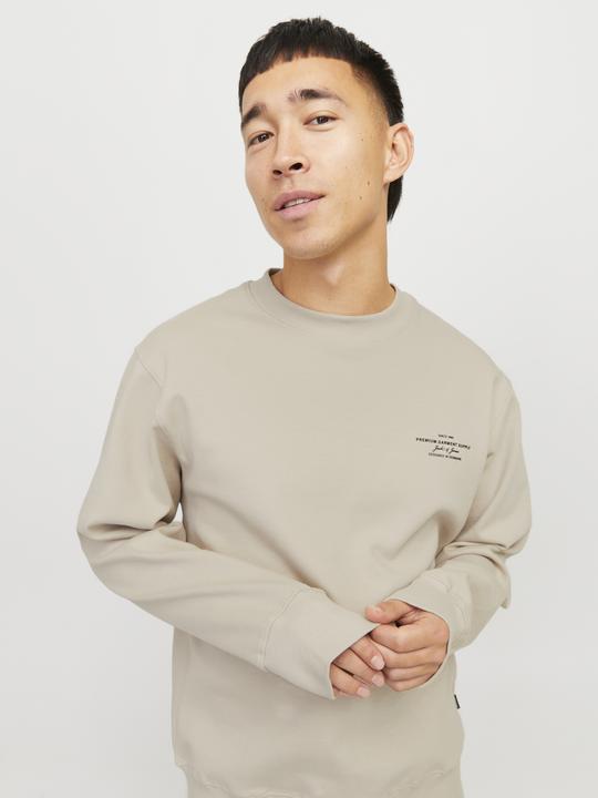 Actual product image Jack & Jones Printed sweatshirt Sweatshirt (S)