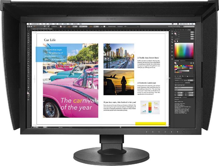 Actual product image Eizo Cg2420 (1920 x 1200 pixels, 24")