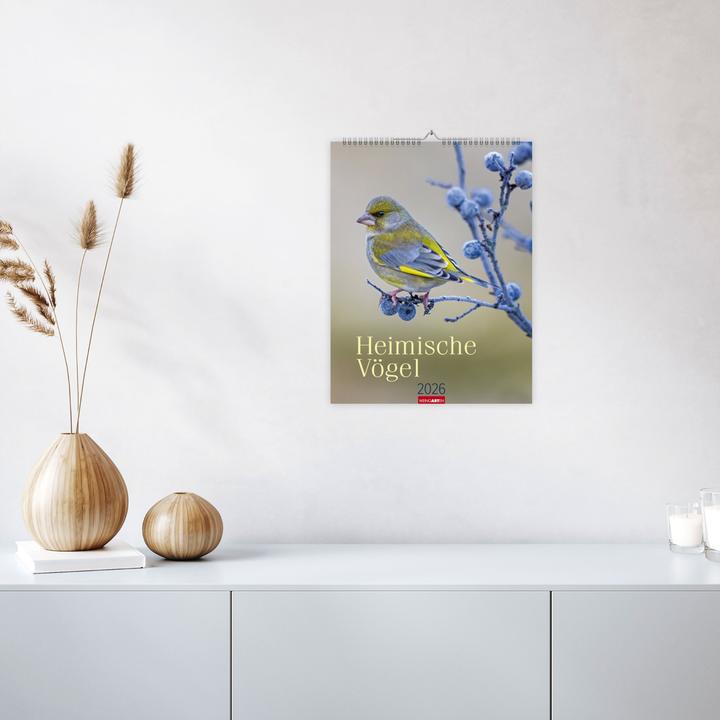 Produktbild Heimische Vögel Kalender 2026 (30 x 39 cm, Deutsch)
