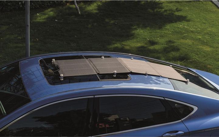 Immagine prodotto EcoFlow Pannello solare (110 W, 4 kg)