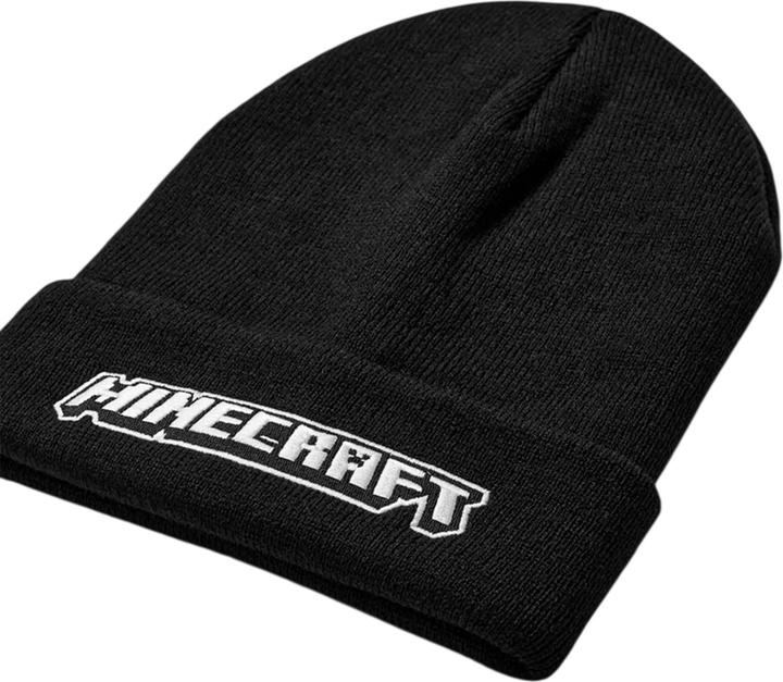 Actual product image Minecraft Boys Logo Polyester Beanie (One size)